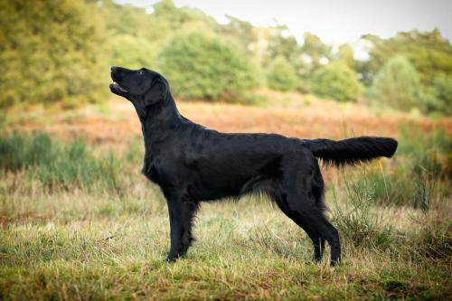 SHF_2019_Okt_IMG_1990-bearbeitet_WEB