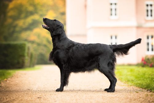 SHF_2025_Okt_IMG-R06_5760-Bearbeitet_WEB