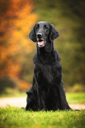 SHF_2025_Okt_IMG-R06_5787-Bearbeitet_WEB