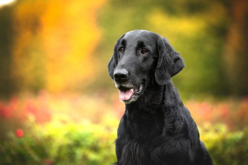 SHF_2025_Okt_IMG-R06_5802-Bearbeitet_WEB