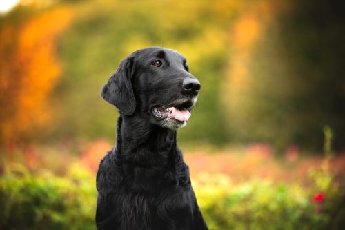 SHF_2025_Okt_IMG-R06_5806-Bearbeitet_WEB