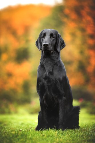 SHF_2025_Okt_IMG-R06_5901-Bearbeitet_WEB