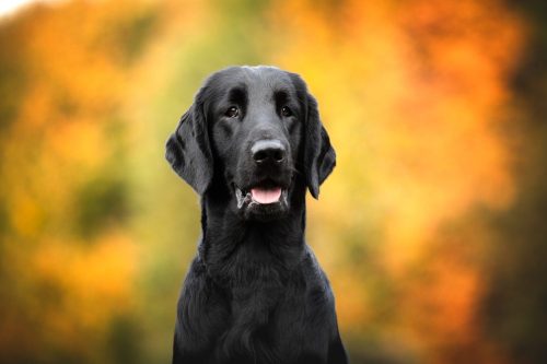 SHF_2025_Okt_IMG-R06_5917-Bearbeitet_WEB