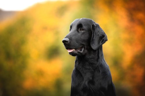 SHF_2025_Okt_IMG-R06_5919-Bearbeitet_WEB