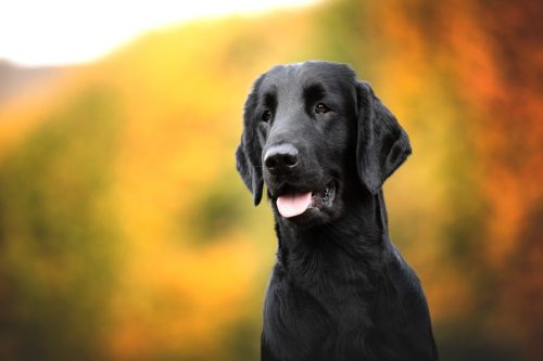 SHF_2025_Okt_IMG-R06_5933-Bearbeitet_WEB