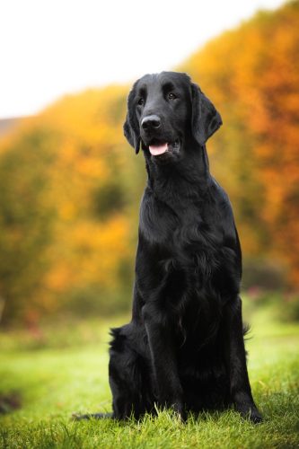 SHF_2025_Okt_IMG-R06_5938-Bearbeitet_WEB