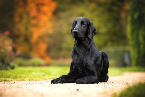 SHF_2025_Okt_IMG-R06_5949-Bearbeitet_WEB