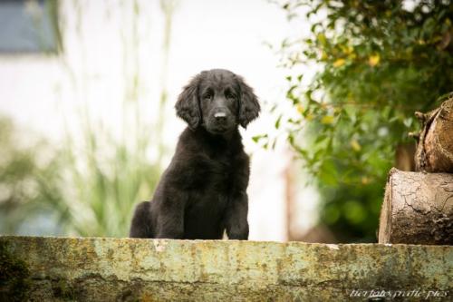 phoca_thumb_l_Tpics_2014_Sep_IMG_3912_WEB