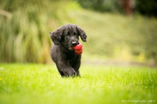 phoca_thumb_l_Tpics_2014_Sep_IMG_3951_WEB