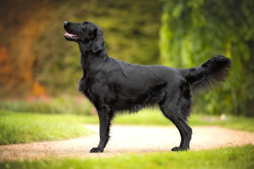 SHF_2025_Okt_IMG-R06_6017-Bearbeitet_WEB