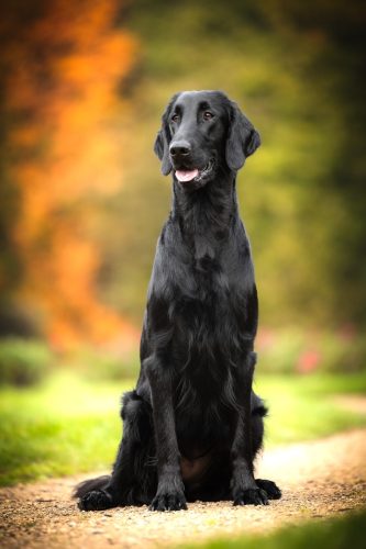 SHF_2025_Okt_IMG-R06_6028-Bearbeitet_WEB