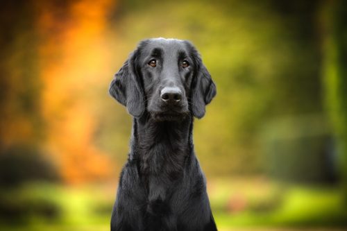 SHF_2025_Okt_IMG-R06_6054-Bearbeitet_WEB