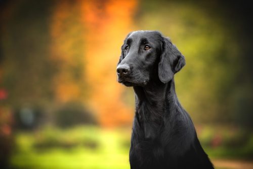 SHF_2025_Okt_IMG-R06_6058-Bearbeitet_WEB