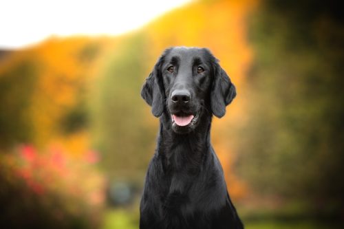 SHF_2025_Okt_IMG-R06_6072-Bearbeitet_WEB