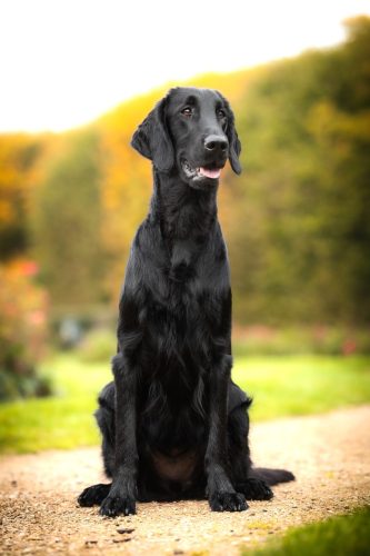 SHF_2025_Okt_IMG-R06_6083-Bearbeitet_WEB