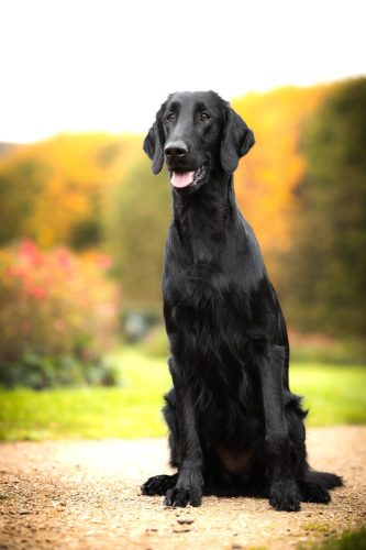 SHF_2025_Okt_IMG-R06_6090-Bearbeitet_WEB