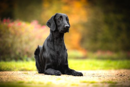 SHF_2025_Okt_IMG-R06_6098-Bearbeitet_WEB