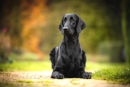 SHF_2025_Okt_IMG-R06_6113-Bearbeitet_WEB